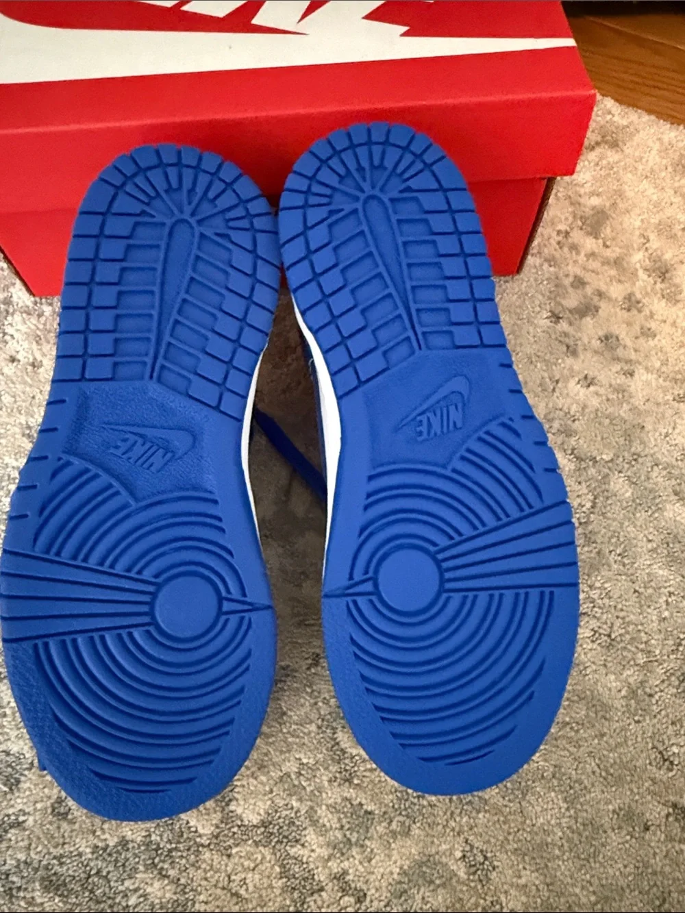Nike Kids Blue & White Low-Top Dunk Sneakers